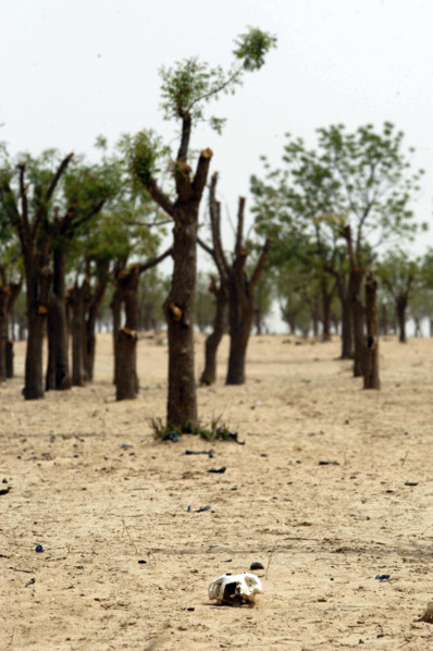 El Geneina in West Darfur on June 10, 2004. (Photo by Christine Nesbitt)