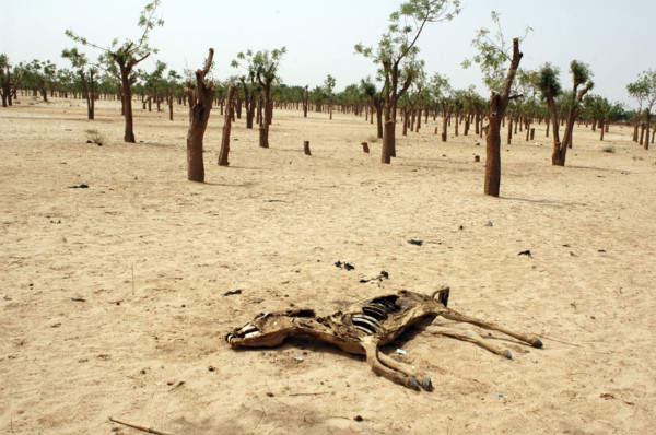 Darfur