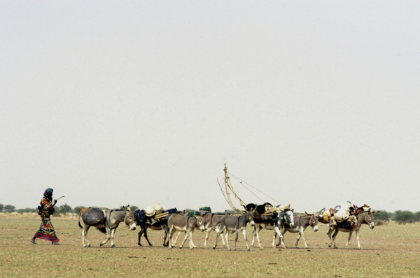 Niger