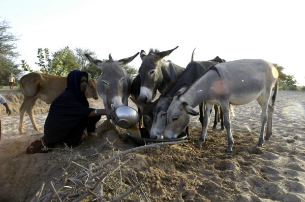 Niger
