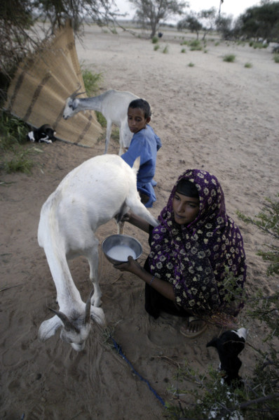 Niger