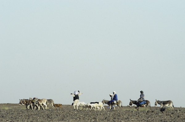 Niger