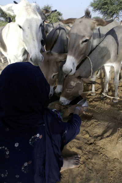 Niger