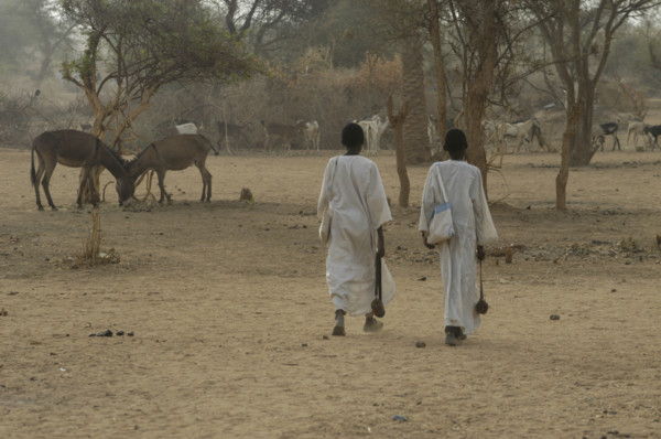 Darfur