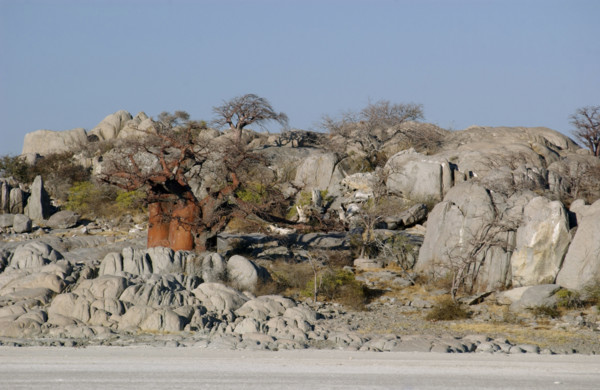 Kubu Island. Magadigadi Pans
