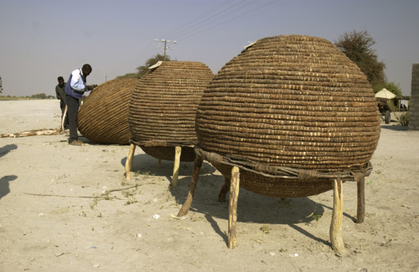 Basket making