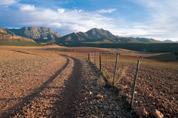 A FARM ROAD IN THE LITTLE KAROO