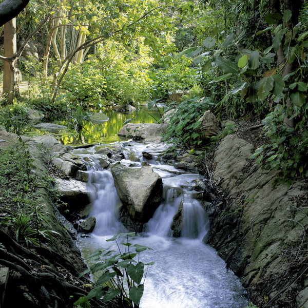 WATERFALL AT THE LOST CITY