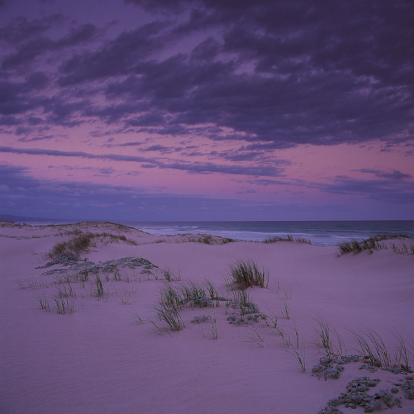 SAND DUNES
