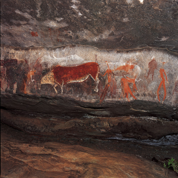 Bushman Art