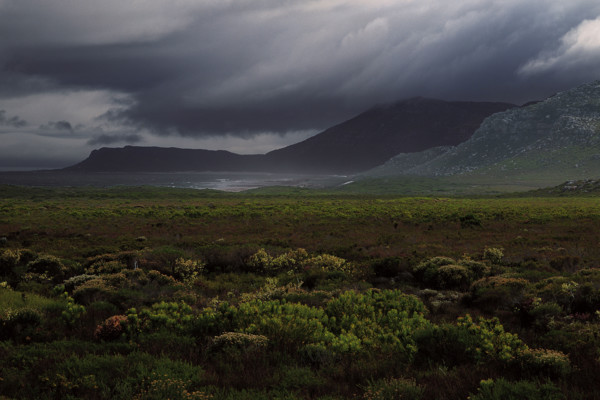 The Cape of Storms