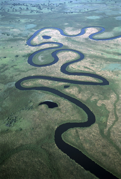 Okavango Aerial
\n