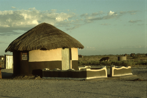 Decorated Hut
\n