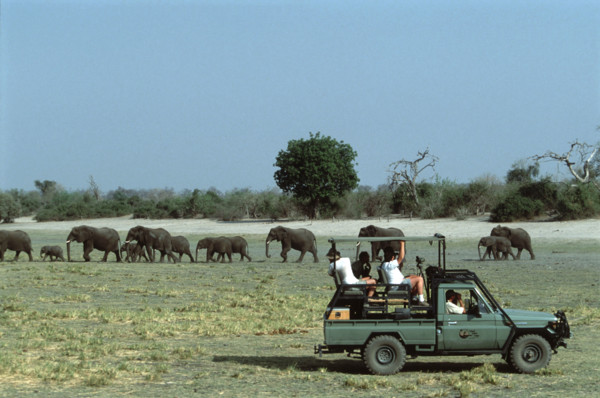 Game viewing