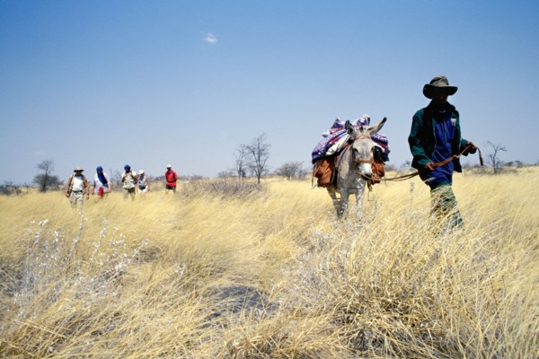 Guide éco-touristique de la communauté Bushman