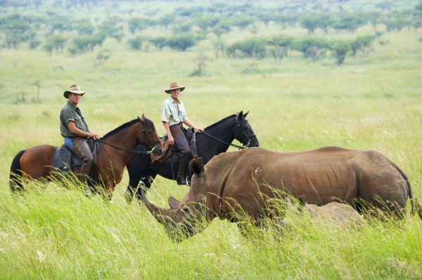 Visiteurs en safari à cheval, Afrique du Sud