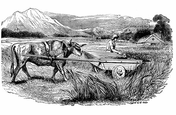 Gravure représentant la reconstruction d'un char à faux romain tel que le décrivait Pline