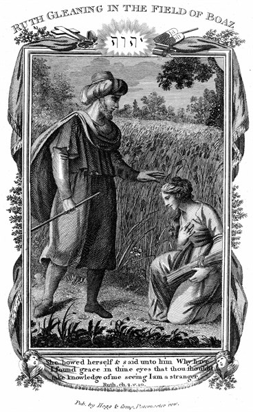Ruth, Moabite widow, gleaning amongst the alien corn and attracts the attention of Boaz who marries her