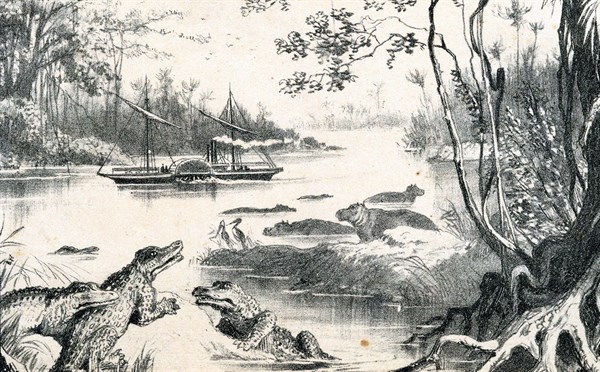 David Livingstone