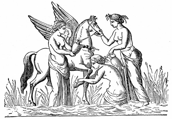 Nymphs attending the winged horse