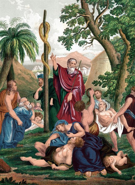 Moses instructs them to look on brazen serpent