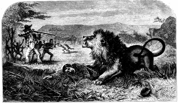 David Livingstone