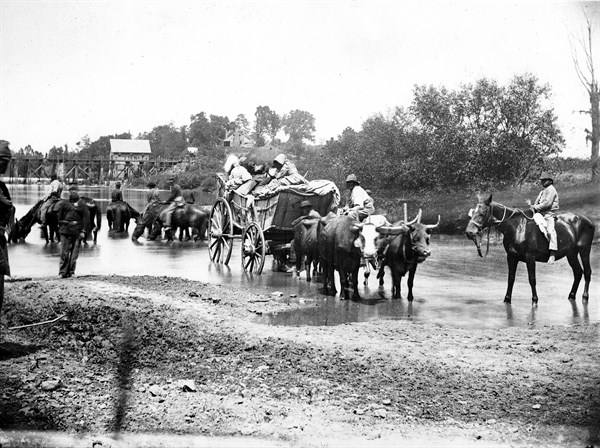 Black refugees travelling in bullock cart: American Civil War 1861-1865