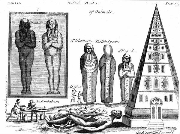 Mummies and embalming