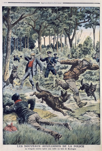 Newly introduced dog section of the Paris police