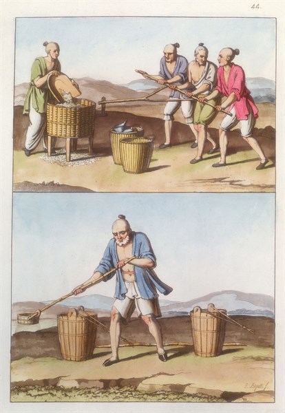Chinese agriculture