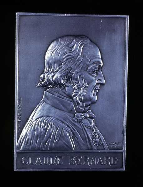 Claude Bernard