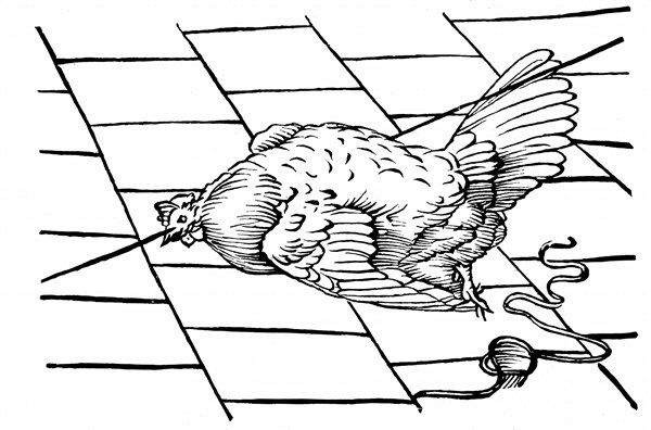 Experimentum Mirabile