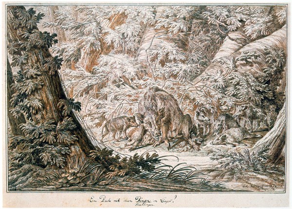 Johann Elias Ridinger 1698-1767 Untitled