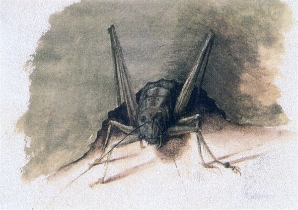 Green Grasshopper', 16th century