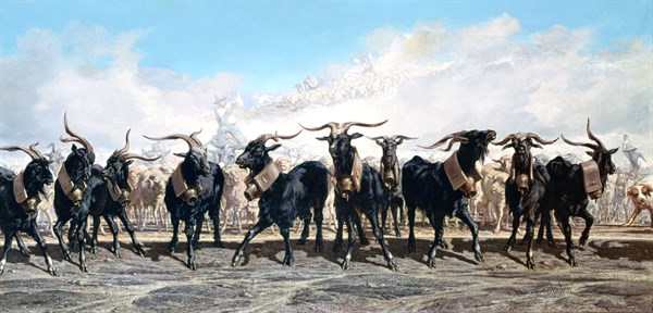 Let us take out the herd'