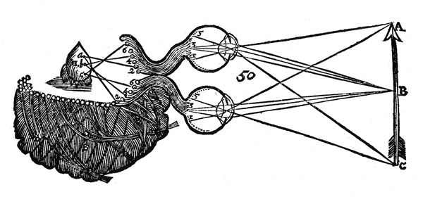 Diagram illustrating Descartes' idea of vision, showing the function of the eye, optic nerve and brain