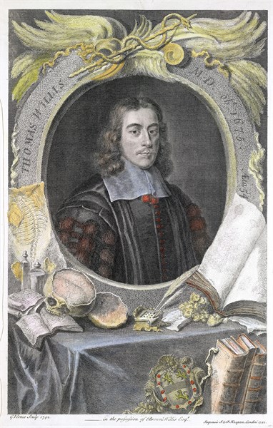 Thomas Willis