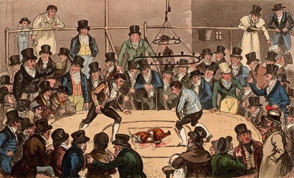 Robert et George Cruikshank, Combat de Coqs