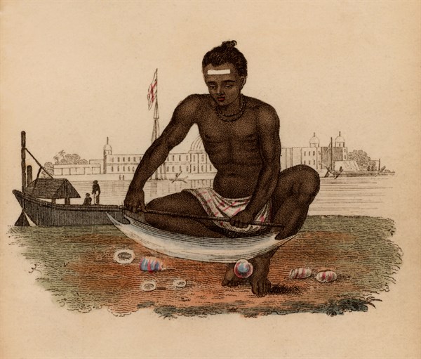Indian shell-cutter