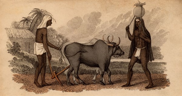 India : Hindu ploughman and Herdsman