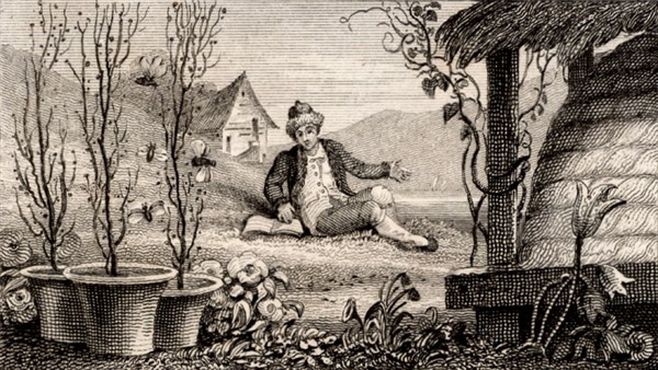 Francis Huber