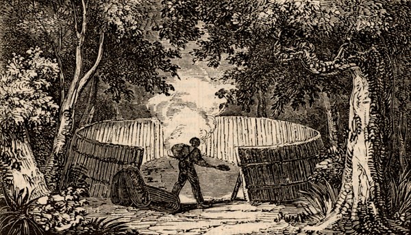 Charcoal burner at work in Kent