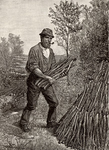 Charcoal burners in the Lake District