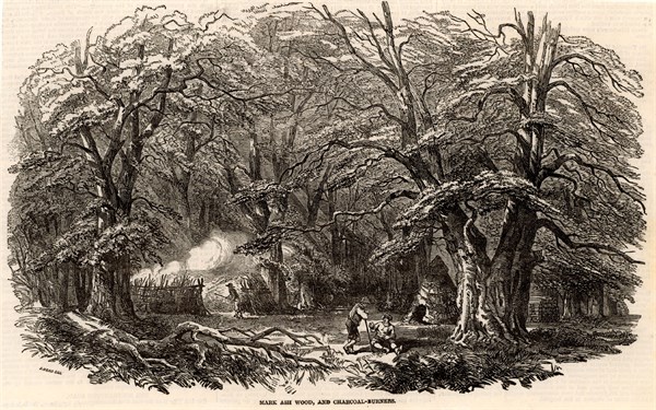 Charcoal burners in Mark Ash Wood in the New Forest