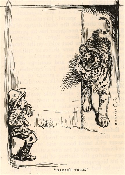 Sarah's Tiger