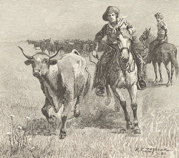 Cowboy going after a steer that has left the herd during a cattle drive: Montana