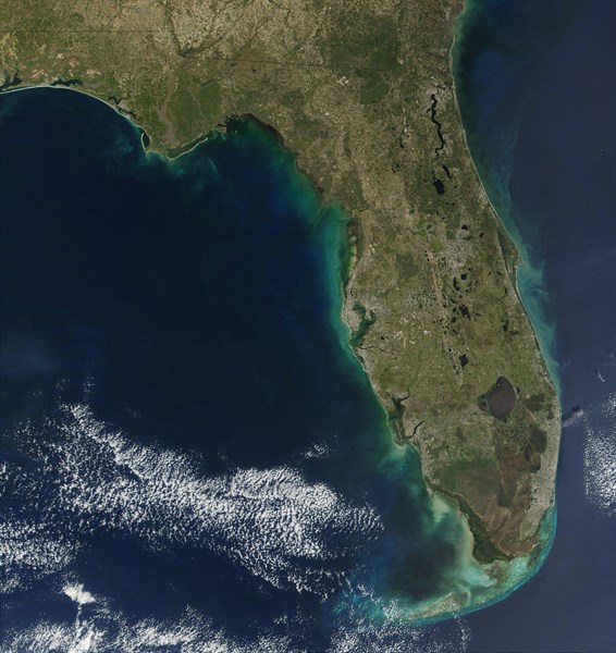 Sediments of Algal Bloom line the coast of Florida in the southern United States of America, giving the peninsula a greenish frame