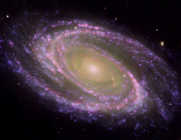 Spiral Galaxy  M81