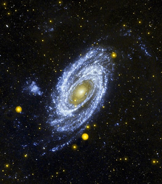 Spiral Galaxy M81