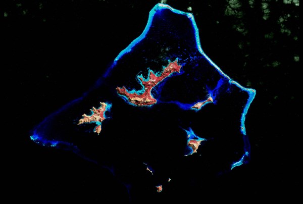 Coral reef